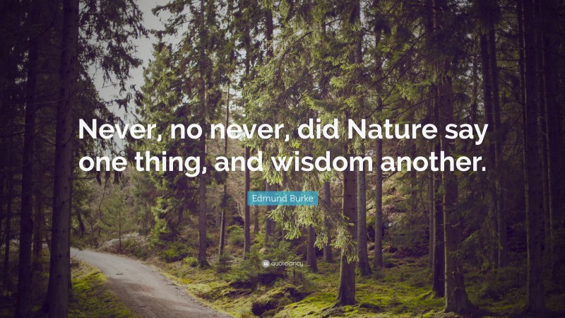 Edmund Burke Quote: “Never, no never, did Nature say one thing, and wisdom another.”