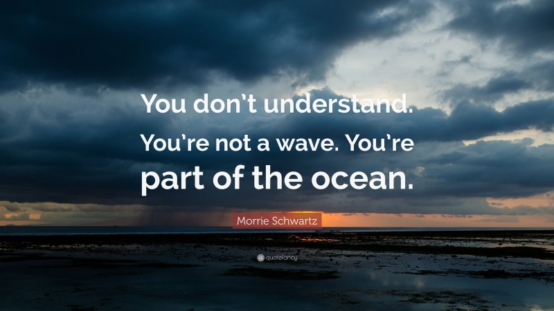 Morrie Schwartz Quote: “You don’t understand. You’re not a wave. You’re part of the ocean.”