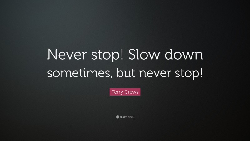 Terry Crews Quote: “Never stop! Slow down sometimes, but never stop!”