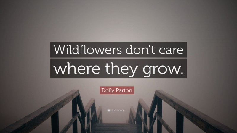 Dolly Parton Quote: “Wildflowers don’t care where they grow.”