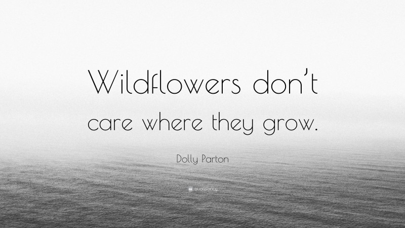 Dolly Parton Quote: “Wildflowers don’t care where they grow.”