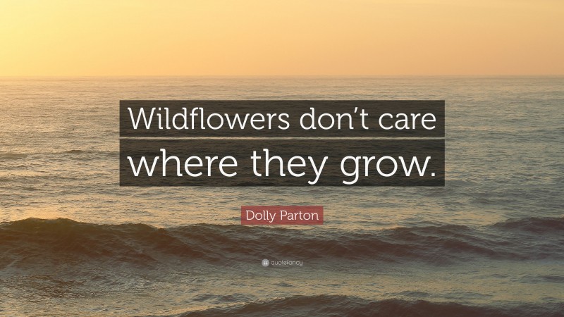 Dolly Parton Quote: “Wildflowers don’t care where they grow.”