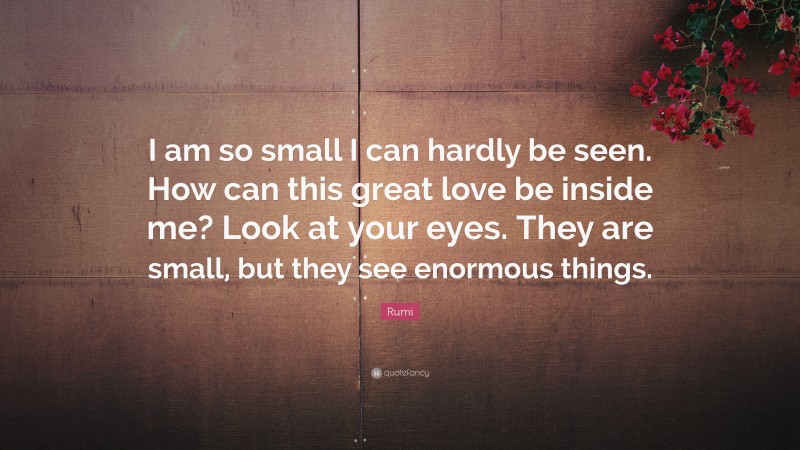 Rumi Quote: “I am so small I can hardly be seen. How can this great love be inside me? Look at your eyes. They are small, but they see enormous things.”
