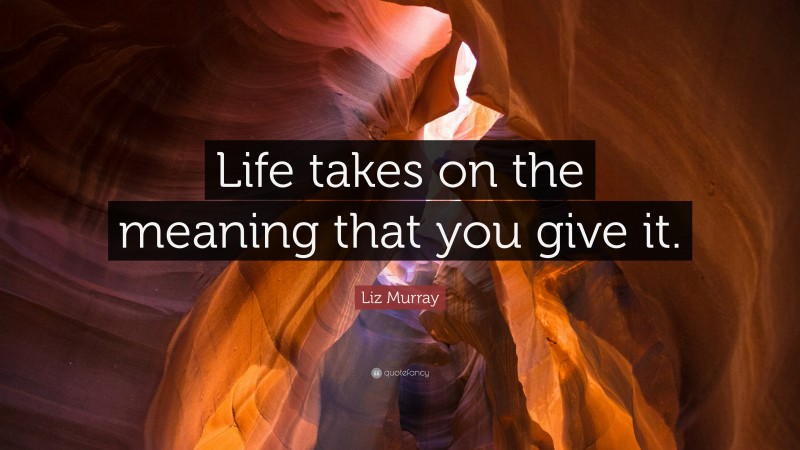 Liz Murray Quote: “Life takes on the meaning that you give it.”