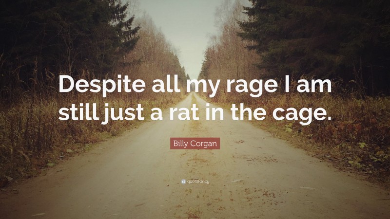 Billy Corgan Quote: “Despite all my rage I am still just a rat in the cage.”