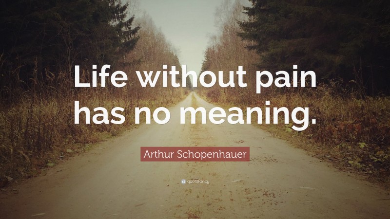 Arthur Schopenhauer Quote: “Life without pain has no meaning.”