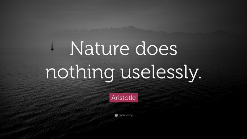Aristotle Quote: “Nature does nothing uselessly.”