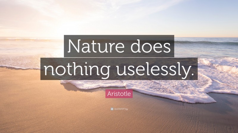 Aristotle Quote: “Nature does nothing uselessly.”