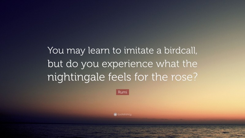 Rumi Quote: “You may learn to imitate a birdcall, but do you experience what the nightingale feels for the rose?”