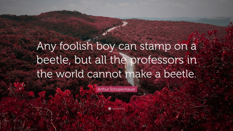 Arthur Schopenhauer Quote: “Any foolish boy can stamp on a beetle, but all the professors in the world cannot make a beetle.”