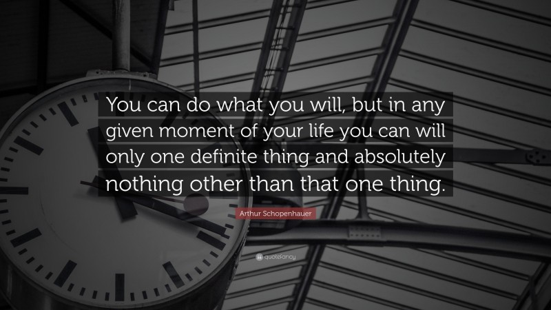 Arthur Schopenhauer Quote: “You can do what you will, but in any given moment of your life you can will only one definite thing and absolutely nothing other than that one thing.”