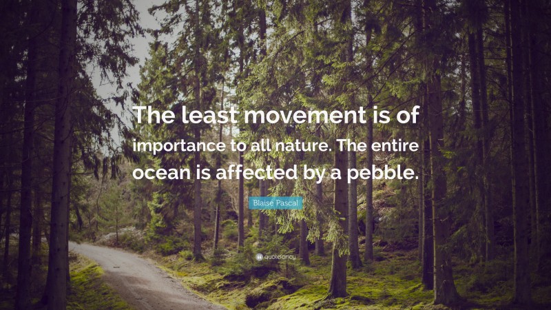 Blaise Pascal Quote: “The least movement is of importance to all nature. The entire ocean is affected by a pebble.”