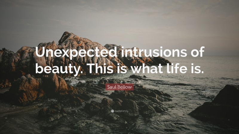 Saul Bellow Quote: “Unexpected intrusions of beauty. This is what life is.”