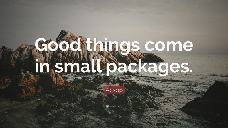 Aesop Quote: “Good things come in small packages.”