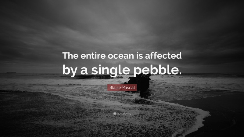 Blaise Pascal Quote: “The entire ocean is affected by a single pebble.”