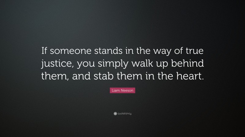 Liam Neeson Quote: “If someone stands in the way of true justice, you simply walk up behind them, and stab them in the heart.”