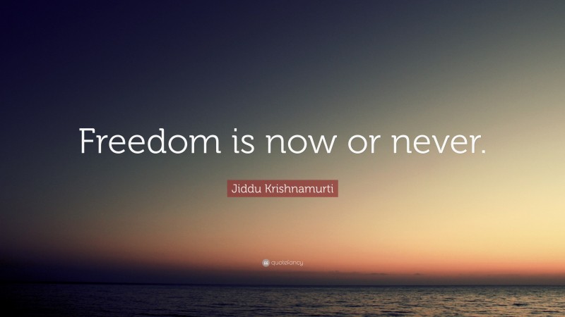 Jiddu Krishnamurti Quote: “Freedom is now or never.”