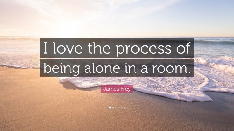 James Frey Quote: “I love the process of being alone in a room.”