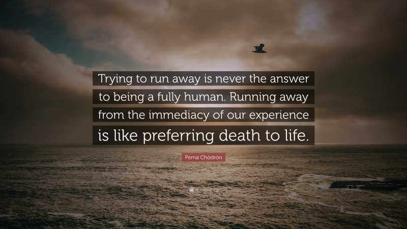Pema Chödrön Quote: “Trying to run away is never the answer to being a fully human. Running away from the immediacy of our experience is like preferring death to life.”