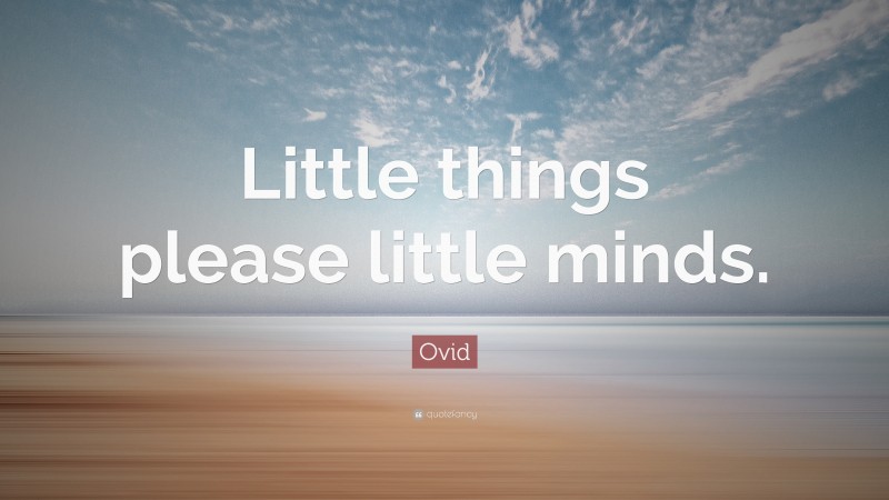 Ovid Quote: “Little things please little minds.”