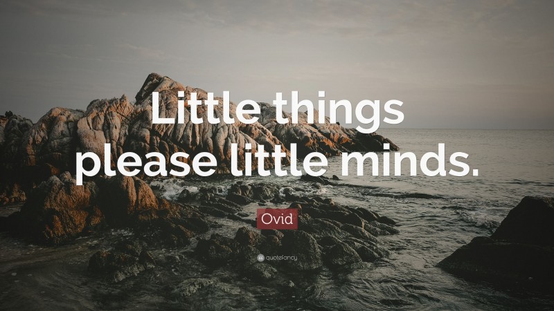 Ovid Quote: “Little things please little minds.”
