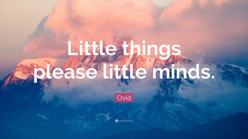 Ovid Quote: “Little things please little minds.”