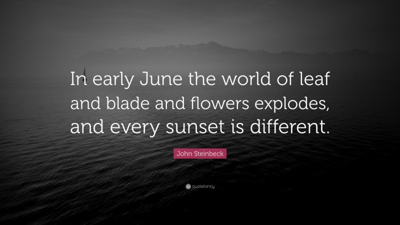 John Steinbeck Quote: “In early June the world of leaf and blade and flowers explodes, and every sunset is different.”