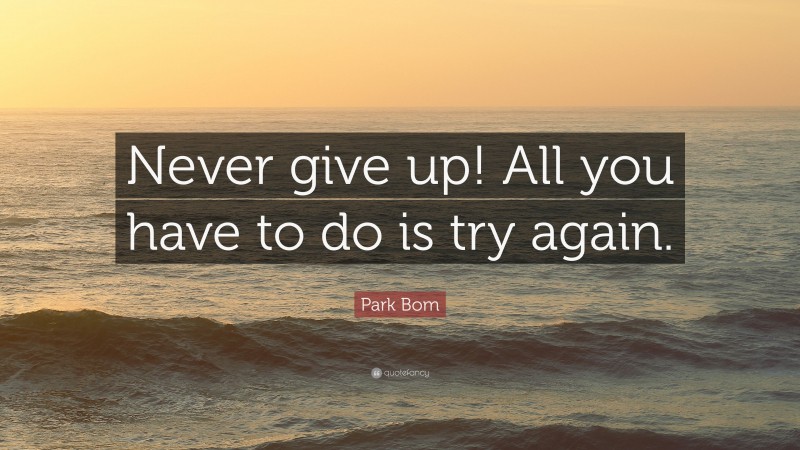 Park Bom Quote: “Never give up! All you have to do is try again.”