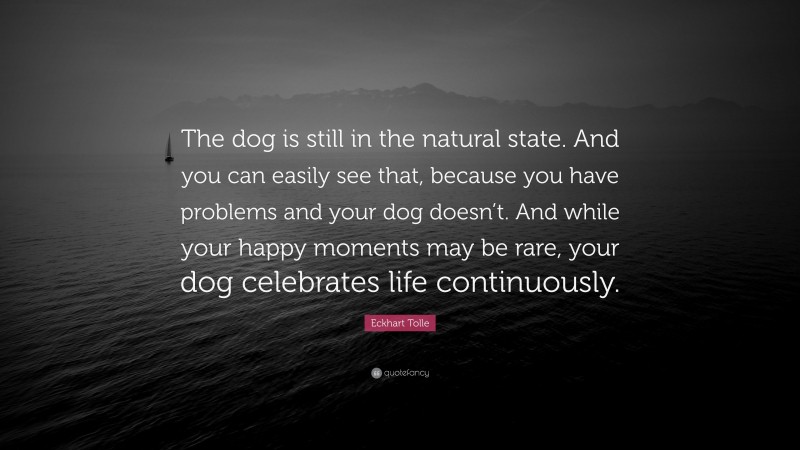 Eckhart Tolle Quote: “The dog is still in the natural state. And you can easily see that, because you have problems and your dog doesn’t. And while your happy moments may be rare, your dog celebrates life continuously.”