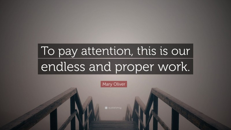 Mary Oliver Quote: “To pay attention, this is our endless and proper work.”