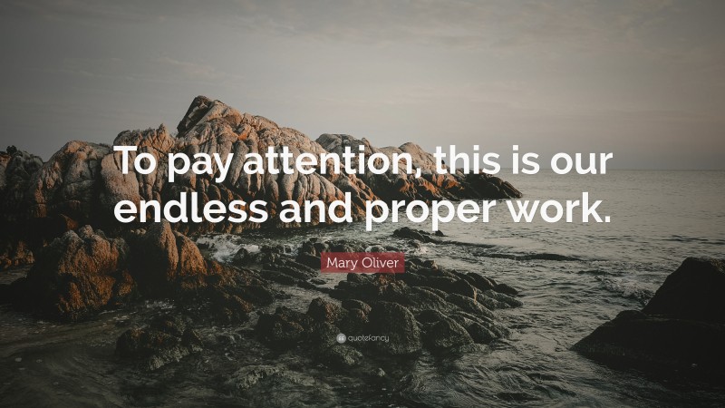 Mary Oliver Quote: “To pay attention, this is our endless and proper work.”
