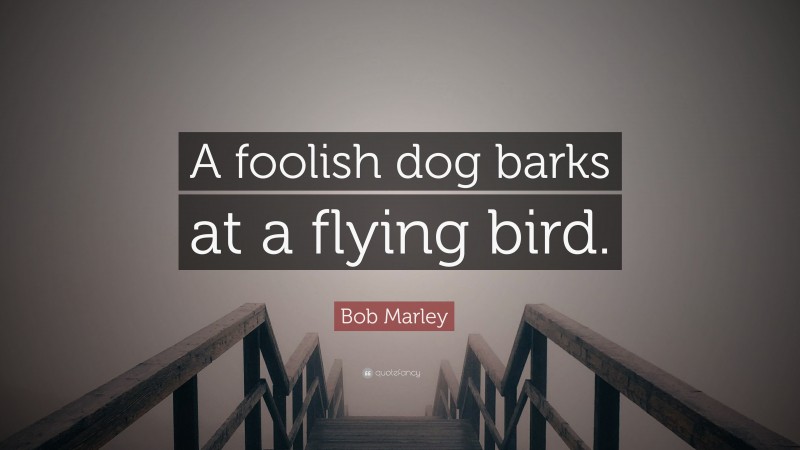 Bob Marley Quote: “A foolish dog barks at a flying bird.”