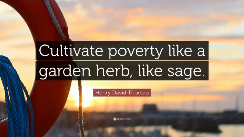 Henry David Thoreau Quote: “Cultivate poverty like a garden herb, like sage.”