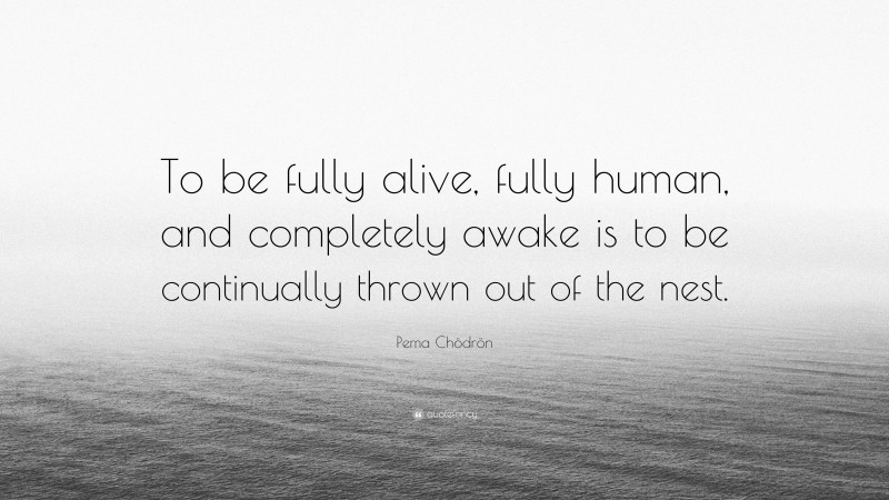 Pema Chödrön Quote: “To be fully alive, fully human, and completely awake is to be continually thrown out of the nest.”