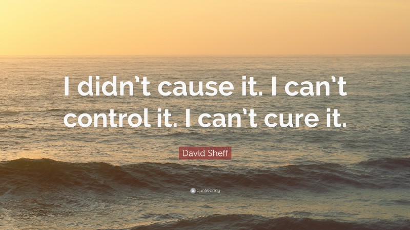 David Sheff Quote: “I didn’t cause it. I can’t control it. I can’t cure it.”