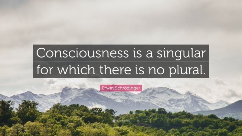Erwin Schrödinger Quote: “Consciousness is a singular for which there is no plural.”