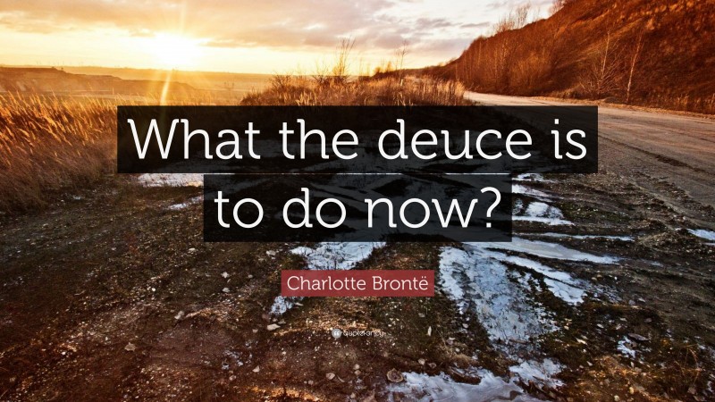 Charlotte Brontë Quote: “What the deuce is to do now?”