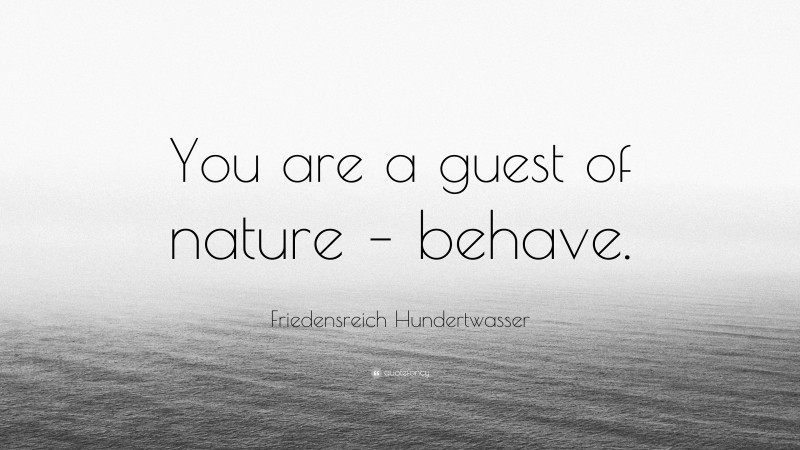 Friedensreich Hundertwasser Quote: “You are a guest of nature – behave.”