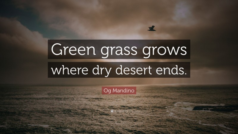 Og Mandino Quote: “Green grass grows where dry desert ends.”