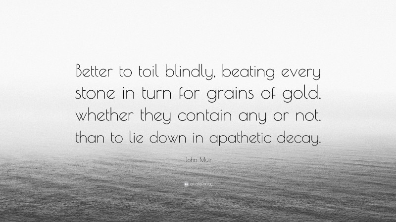 John Muir Quote: “Better to toil blindly, beating every stone in turn for grains of gold, whether they contain any or not, than to lie down in apathetic decay.”