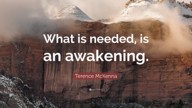 Terence McKenna Quote: “What is needed, is an awakening.”