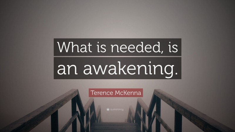 Terence McKenna Quote: “What is needed, is an awakening.”