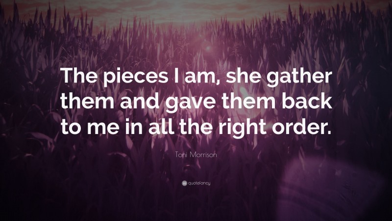 Toni Morrison Quote: “The pieces I am, she gather them and gave them back to me in all the right order.”