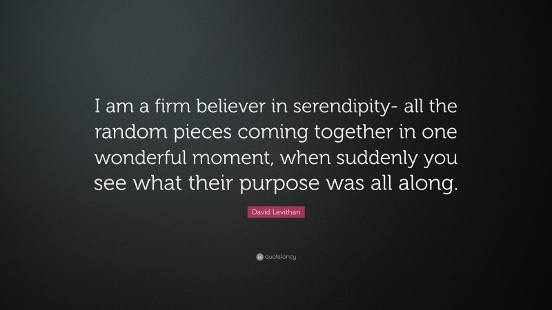 David Levithan Quote: “I am a firm believer in serendipity- all the random pieces coming together in one wonderful moment, when suddenly you see what their purpose was all along.”