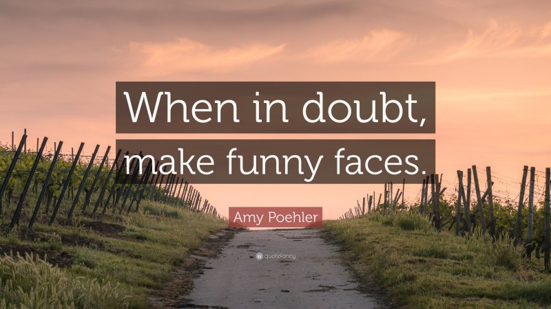 Amy Poehler Quote: “When in doubt, make funny faces.”