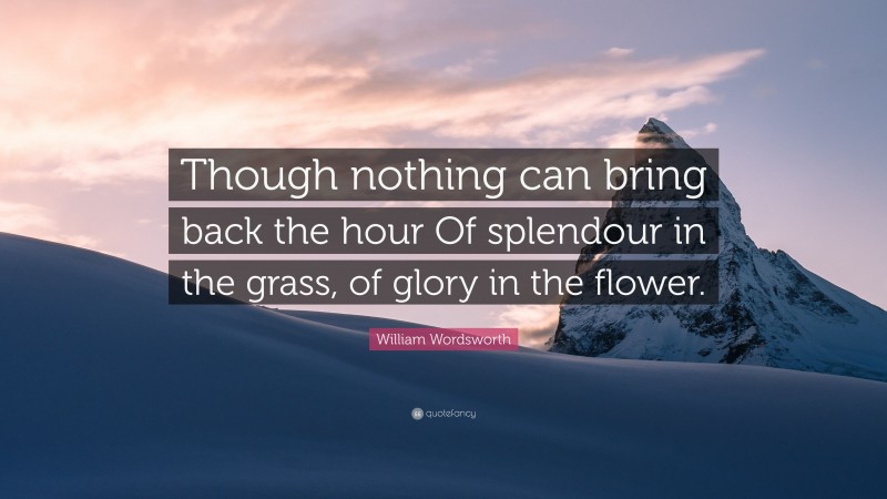 William Wordsworth Quote: “Though nothing can bring back the hour Of splendour in the grass, of glory in the flower.”