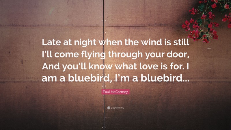 Paul McCartney Quote: “Late at night when the wind is still I’ll come flying through your door, And you’ll know what love is for. I am a bluebird, I’m a bluebird...”