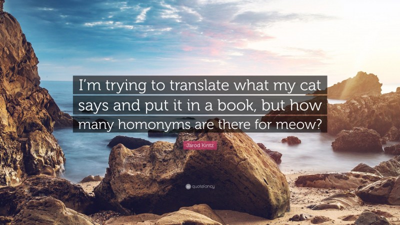 Jarod Kintz Quote: “I’m trying to translate what my cat says and put it in a book, but how many homonyms are there for meow?”