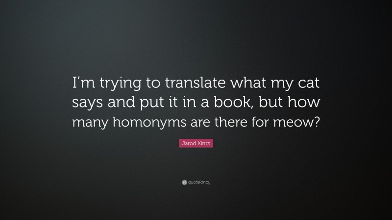 Jarod Kintz Quote: “I’m trying to translate what my cat says and put it in a book, but how many homonyms are there for meow?”