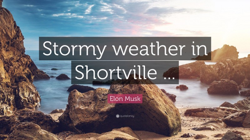 Elon Musk Quote: “Stormy weather in Shortville ...”